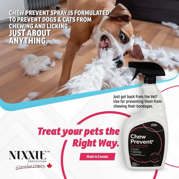 Pet Chew Prevention Spray by EnviroFresh - Made In Canada - Picture 1 of 3
